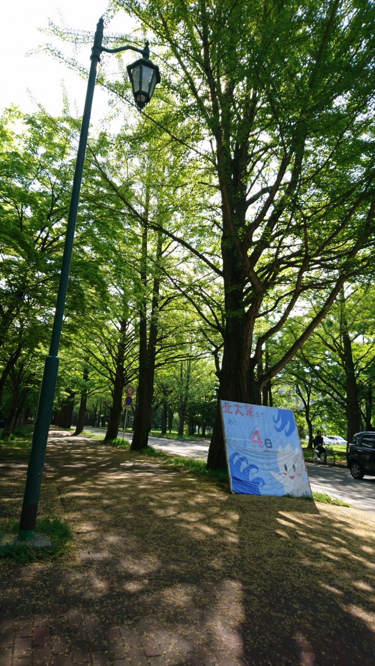 ブログ 北海道大学病院 臨床研修センター