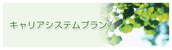 キャリアシステムプラン