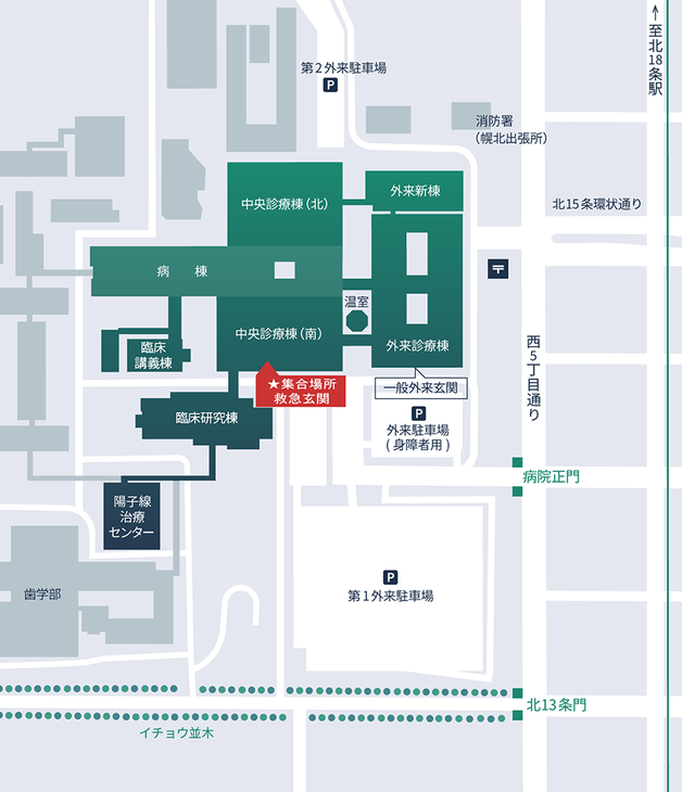 北海道大学病院配置図