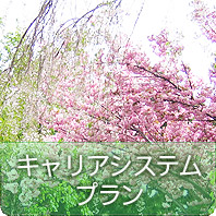 キャリアシステムプラン