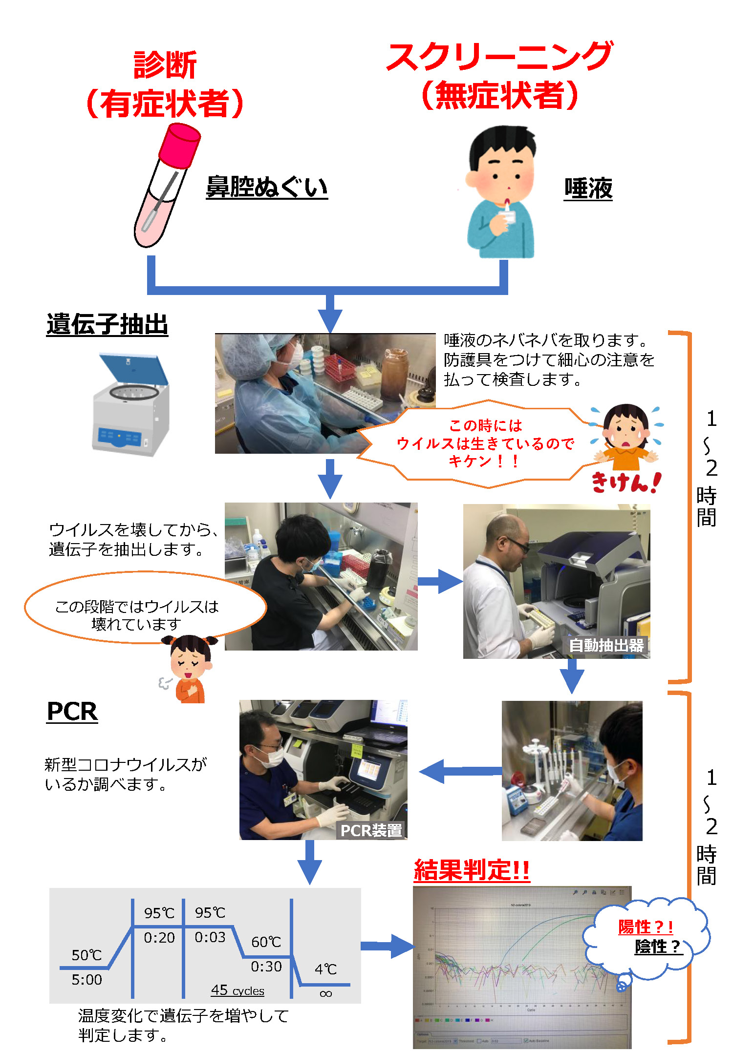 PCR検査の流れ